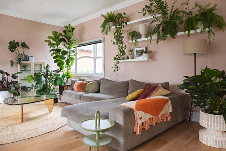 How To Display Houseplants 98 Of Our Favorite Plant Display Ideas